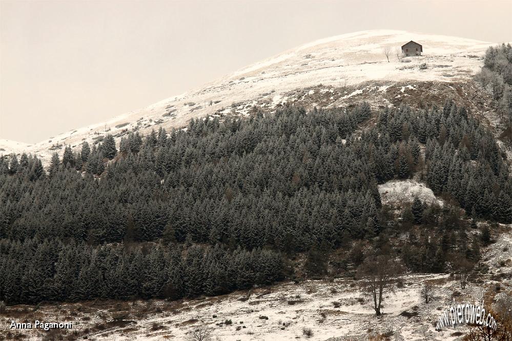 19 - Pendii innevati.jpg
